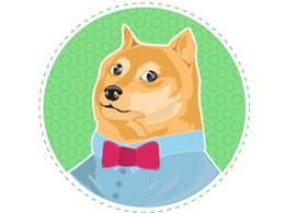 Dogecoin Founder Turns Down $500k Investment Offer