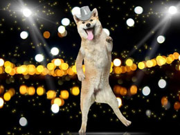 Dogecoin Price Leaps 25%