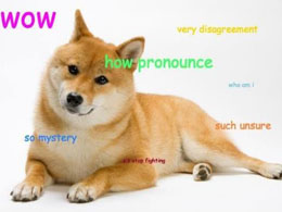 DogeParty: Calling All Shibes