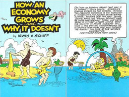 How an Economy Grows and Why it Doesn't: A Review