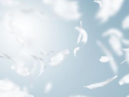 Feathercoin Price Becoming Lighter