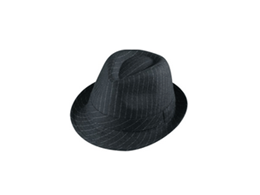 Bitcoin Buys Fedoras