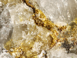 First Bitcoin Exchange to Accept Gold