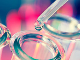 Get on TeamHal and Support the Hal Finney Bitcoin Fund for ALS Research