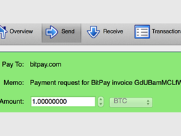 Do You Need Payment Protocol Support? - Now You Can Have It