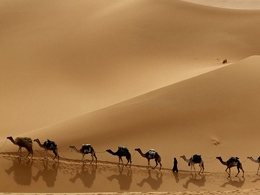Bitcoin News Roundup – May 3rd, 2015
