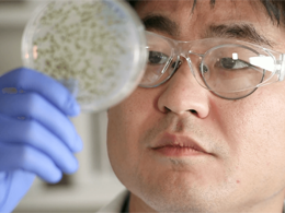 Project Marilyn: Finding a Cure for Cancer with Bitcoins