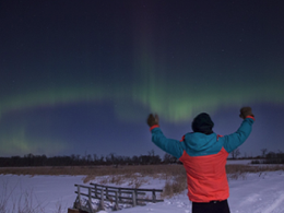 Scrutinizing Auroracoin