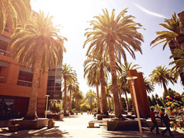 Does Bitcoin Need Its Own Silicon Valley?