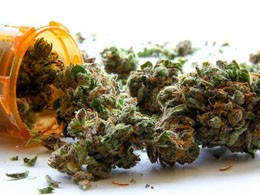 Medical Marijuana Dispensary Becomes Canada's First to Accept Bitcoin