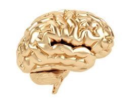 How to create a brain wallet