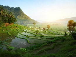 How Bitislands Plans to Turn All of Bali into 'Bitcoin Paradise'
