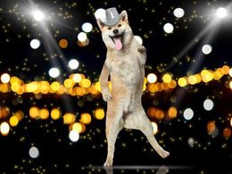 Dogecoin Community Celebrates as Merge Mining with Litecoin Begins