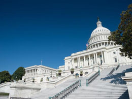 Bitcoin Regulation Roundup: Legislation, Liquidation and Rumor Mill