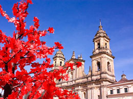 Central Bank of Colombia Says 'Bitcoin is Not a Currency'