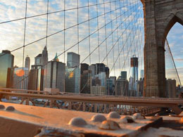 New York Hearings Open in Shrem's Shadow
