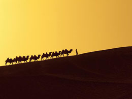 Trial of Ross Ulbricht, Alleged Head of Silk Road, Postponed Until Early 2015