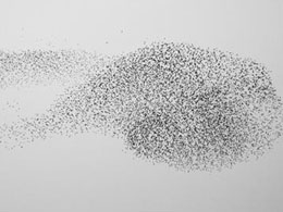 Swarm Redefines Crowdfunding
