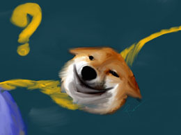 Dogecoin Price Affected by Bitcoin's Downturn