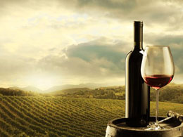 Vinfolio Wants Wine Provenance In the Bitcoin Block Chain